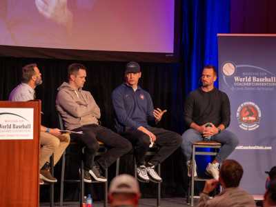 Panel WB Website Element (400 x 300 px)